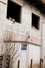 old abandoned house in the village