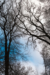 Nebel kalte Luft Frost Winter Marburg