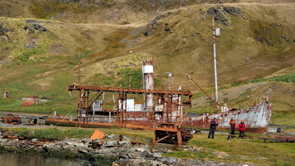 Old, rusted whaling ship in the harbor at the old whaling station at Grytviken, South Georgia Island - obrazy, fototapety, plakaty