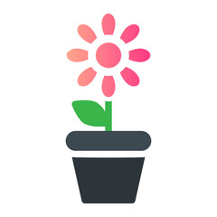 flower in a pot