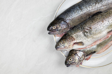 Fresh trout on the plate ready for preparing