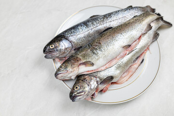 Fresh trout on the plate ready for preparing