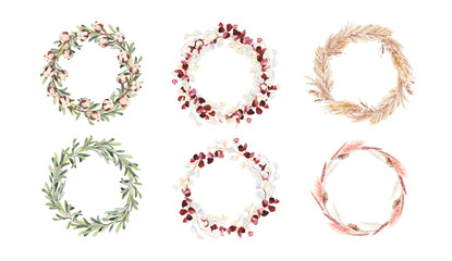 Field herbs, hand painted watercolor dry eucalyptus, cotton branches and pampas grass wreaths illustrations. Herbarium, botanical elements for design. Watercolor hand drawn frame clipart collection