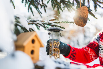 Winter birds feeding. A woman feeds birds in winter.