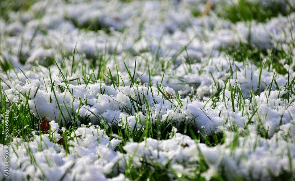 Poster spring in the snow