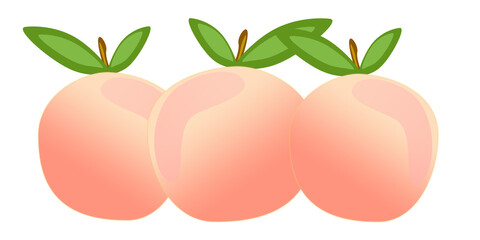 illustrazione con gruppo di frutti di pompelmo rosa e foglie su sfondo trasparente