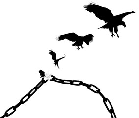 Chains That Transform Into Birds. Freedom Concept