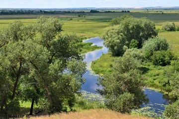 landscape with river and trees