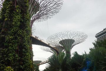 Scenery of Garden by the Bay, Singapore, This Photo was taken on December 2022