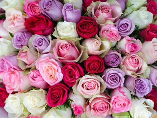 A lot of multicolored roses in beautiful bouquet.