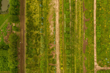 Drone photography or rural gardens