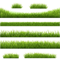 set of grass