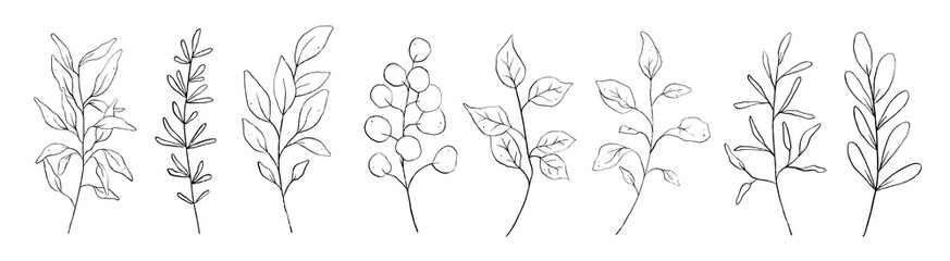 Set of black floral outline branch, leaf, plants. Botanic line art pencil sketch leaves isolated on white background. Hand drawn black simple vector illustration