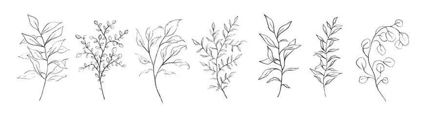 Set of black fine art floral branch, leaf, plants. Botanic delicate foliage outline pencil sketch leaves isolated on white background. Hand drawn line art black simple vector illustration - 553778071