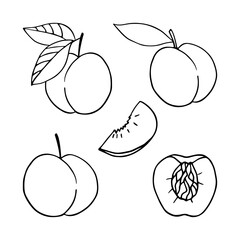 Set of monochrome peaches in doodle style. Vector linear isolated elements on a white background.