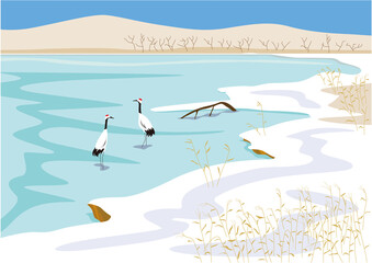 Fototapeta premium 冬の湿原とつがいのタンチョウのイラスト02