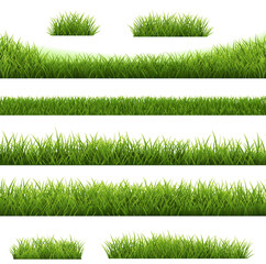 Green Grass Frame Big Set Isolated White Background