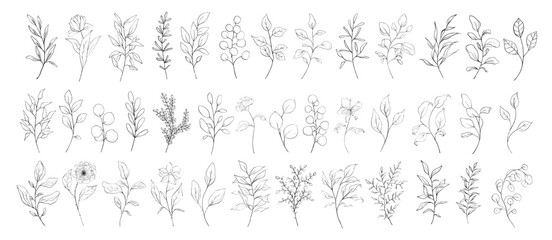 Set of floral line art branch, leaf, plants. Botanic outline pencil sketch draw leaves isolated on white background. Hand drawn vector illustration