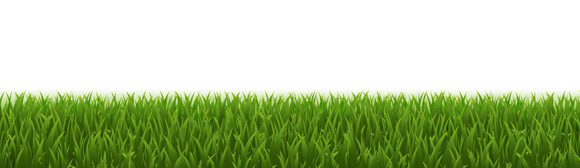 Obraz premium Green Grass Panorama Realistic Isolated White Background
