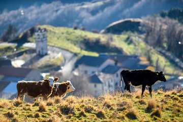 APPENNINO REGGIANO |  VALBONA