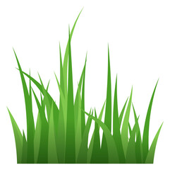 Green grass blades. Fresh summer plants. Eco symbol