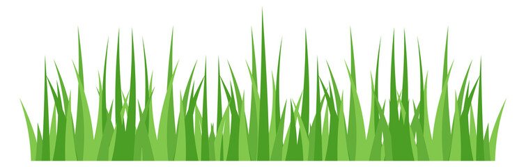 Spring grass. Green fresh eco decoration border