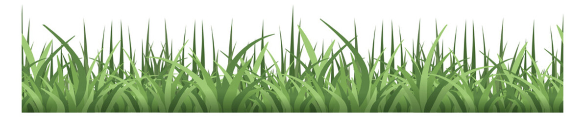Horizontal grass border. Fresh natural garden lush