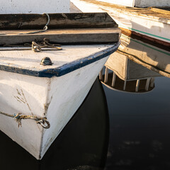 Obraz premium Oyster Harvest Time Out Reflections