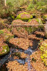 River and trees with fall colors at Cap de la Fée forest near Sain Donat de Montcalm. Quebec. Canada.