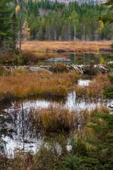 River and trees with fall colors at Cap de la Fée forest near Sain Donat de Montcalm. Quebec. Canada.