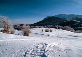 VENTASSO LE PISTE DA SCI