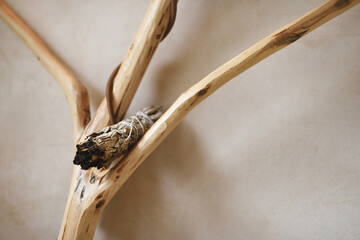 Therapeutic base with a bunch of scented dried sage and natural wood branches.