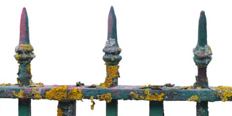Rusty metal fence with multi colored fungus
