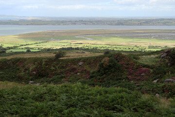 Fototapeta premium Dingle way - Kerry Camino - Tralee - County Kerry - Ireland