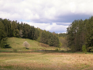 Forest and meadows - Beauty of Kashubia, Poland.