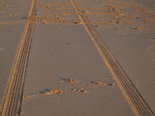 Tracks on the golden sand leading into the sea