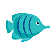 exotic fish icon