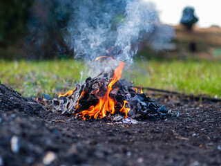 野焼きの炎