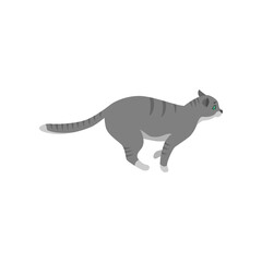 Cute cat cartoon character running vector illustration. Pet on walk or in chase isolated on white background. Animals concept for game design