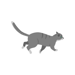 Cute gray cat cartoon character walking vector illustration. Pet on walk or in chase isolated on white background. Animals concept for game design