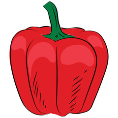 Bell Pepper 
