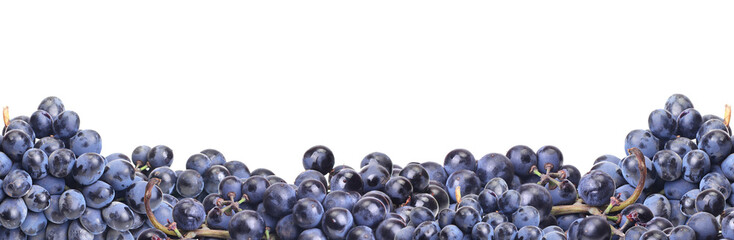 Grape fruit isolated 