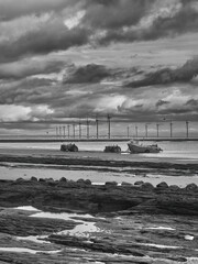 A fishing boat returns to a rugged, rock-strewn shore, recently plagued by mass marine die-offs, ahead of a wind farm on the North East English Coast.