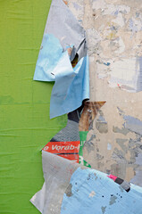 abgerissenes werbeplakat