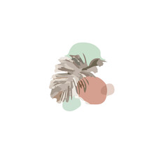 Flower Aesthetic Trend Set Illustration