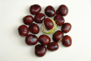 Chestnuts close-up on a white background. Horse chestnut fruit. Selective focus.