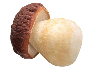 Cep or Porcino mushroom (Boletues edulis fruit body), isolated png