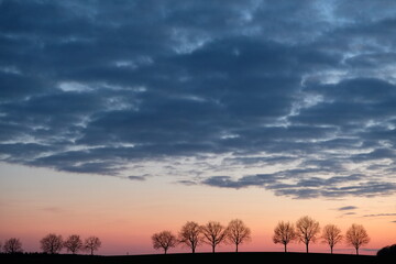 Sonnenuntergang mit Baumreihe