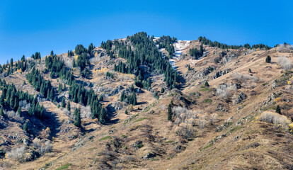 landscape in the mountains