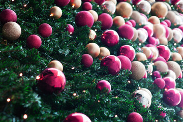 Christmas background. Christmas green tree, gold, magenta, silver balls. Color of year. Decorative Christmas baubles on Christmas tree, vibrant colorful background. Selected focus. Copy space 